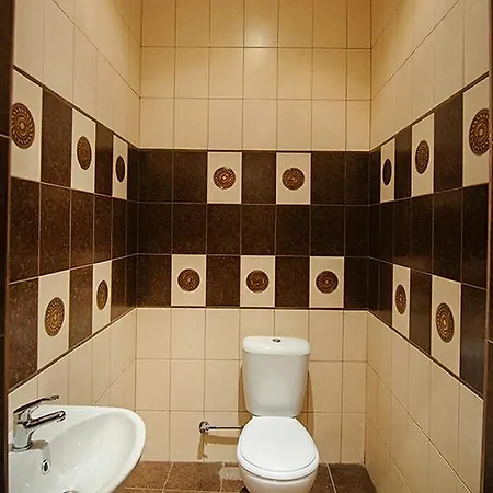 Apartment On Brativ Rohatyntsiv 3 *