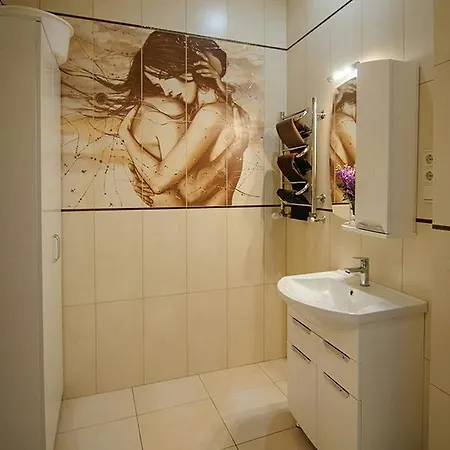 Apartment On Brativ Rohatyntsiv 3 *
